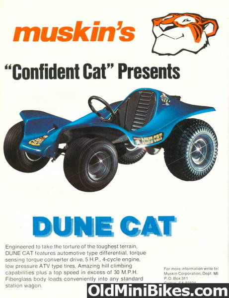 dune cat