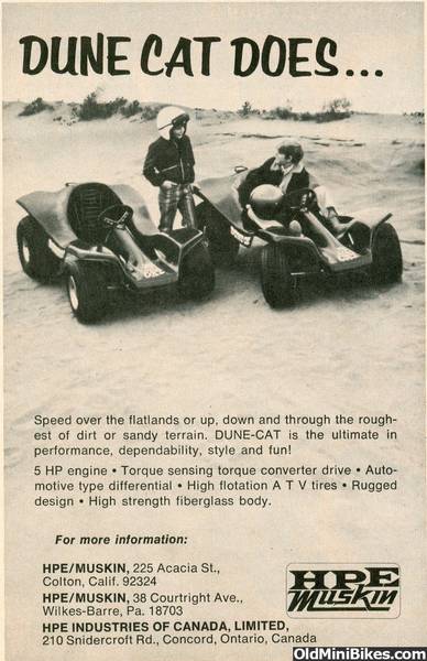 dune cat go kart for sale