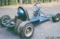 60bug002.jpg