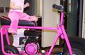 Kylie_on_Bike1.JPG