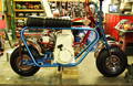 DSCF7702.JPG