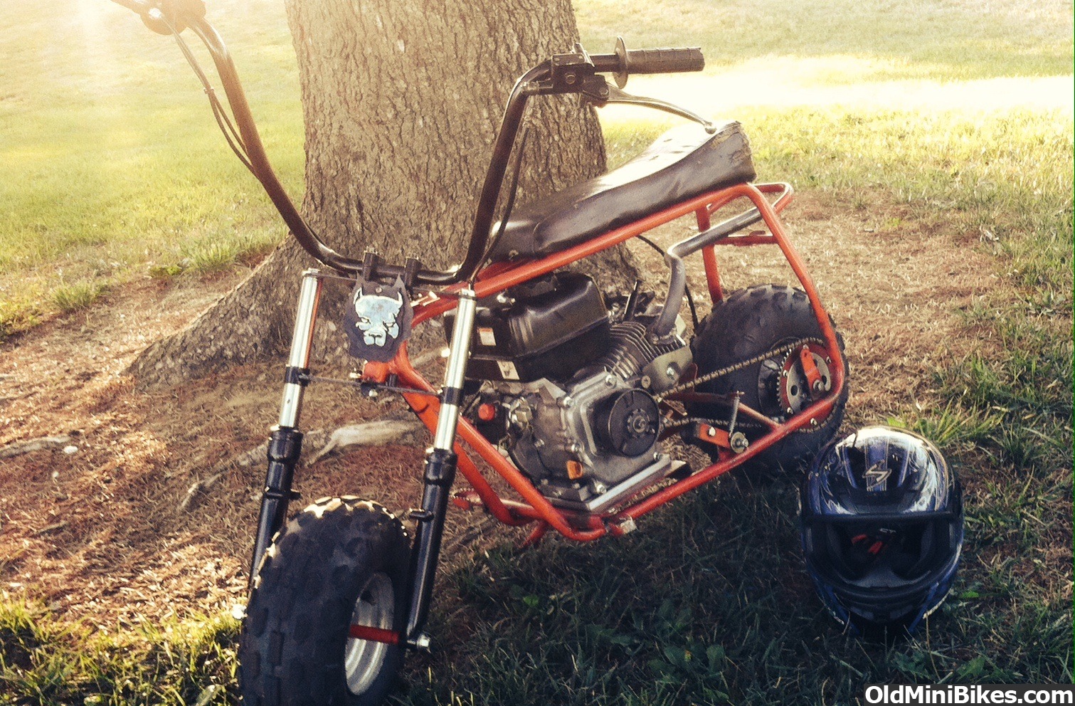 the fastest mini bike