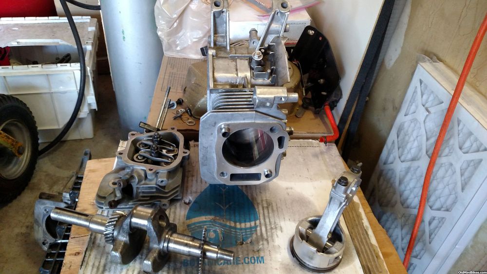Serengeti Badger project... To build, or save, for 2018 OldMiniBikes