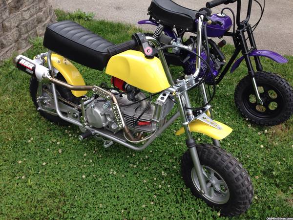 100 mph mini bike