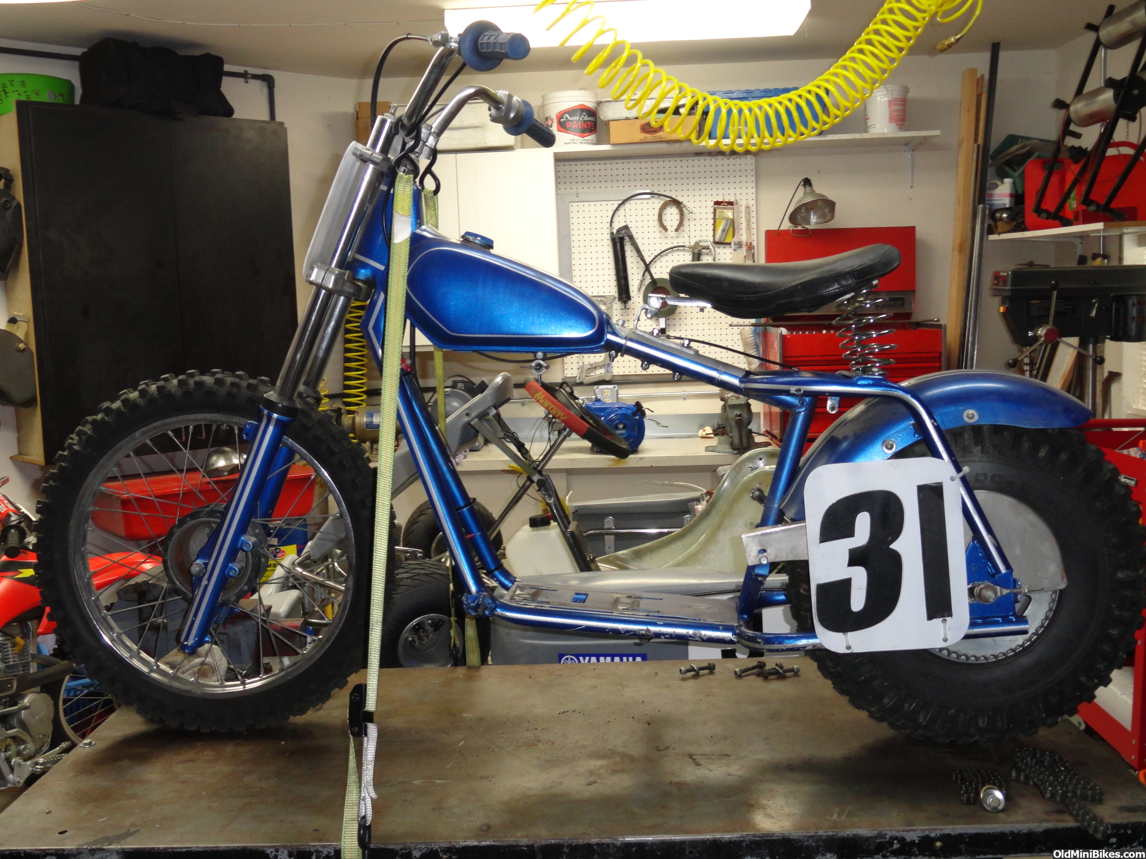 Modified baja warrior