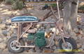 DSCI19471.JPG