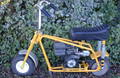 BIRD_MINIBIKE.jpg