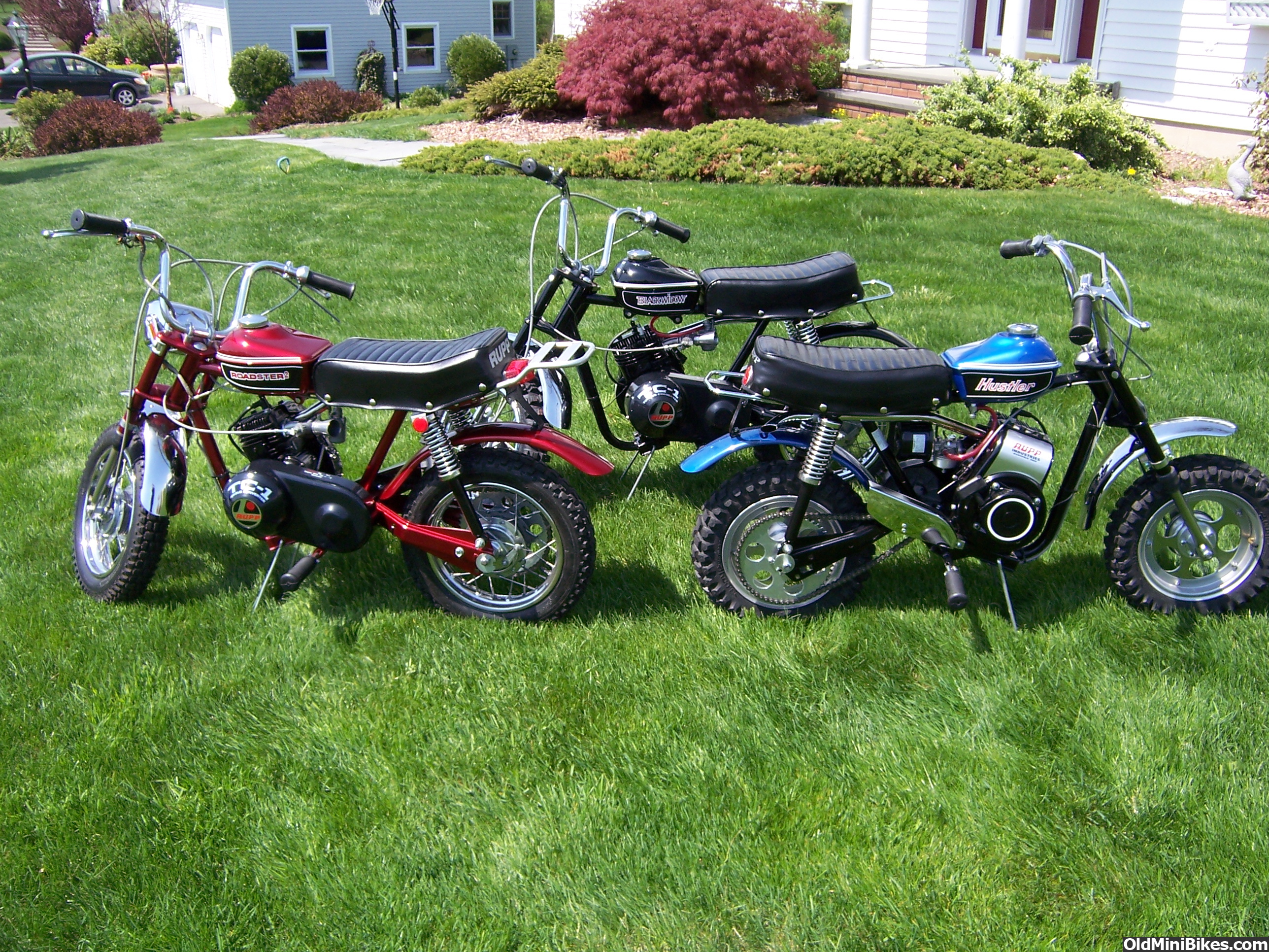 Mini Bike Collection Photos | OldMiniBikes.com