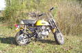 DSC02252.JPG