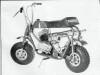 bonanza mini bike pictures