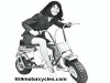 bonanza mini bike pictures