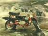 coleman mini bike pics