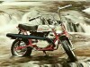 coleman mini bike pictures