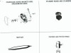 coleman mini bike pictures