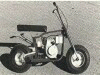 powell mini bike pics