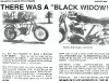 rupp mini bike pics