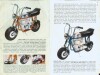 rupp mini bike pics