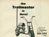 trailmaster mini bike pics