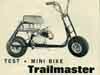trailmaster mini bike pics