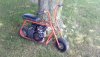 sarahs 1-2011 032.jpg