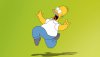 the-simpsons-homer-simpson-wallpape.jpg