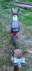 20220710_201518.jpg