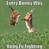 Every-Bunny-Was-Kung-Fu-Fighting-Funny-Picture.jpg