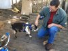 pet goat a.jpg