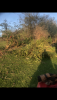 02876CB6-7F8B-47B8-A2E0-CC2ABBC10E9F.png