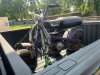 IMG_3326.jpeg