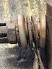 IMG_8432.jpeg