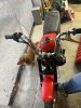 IMG_7061.jpeg