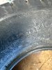 IMG_8578.jpeg