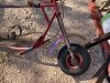IMG_8365.jpeg