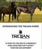 Trojan Horse.JPG