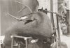 1ogr039.jpg