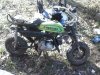 CAM02303.jpg