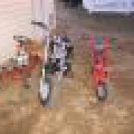 Minibikeracer61