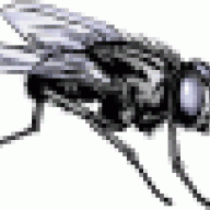 Bug_Doctor