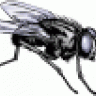 Bug_Doctor