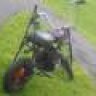 wildindian1129