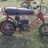 vic71