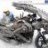 roadrunner1001