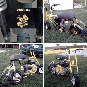 Super BEE w/ NR's Phase 1 motor