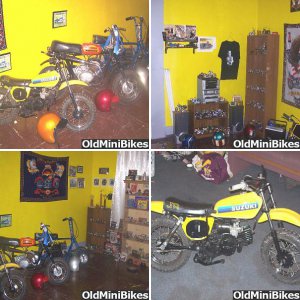 loveminibike