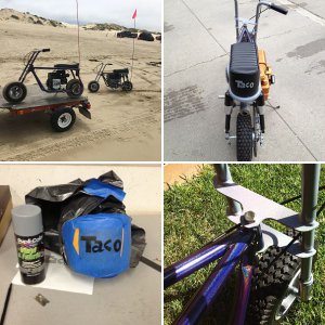 Taco 99