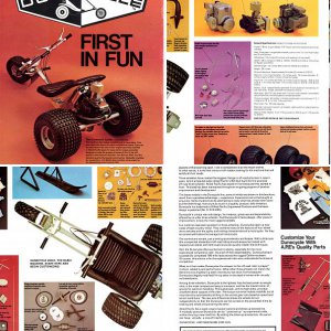 Dunecycle trikes