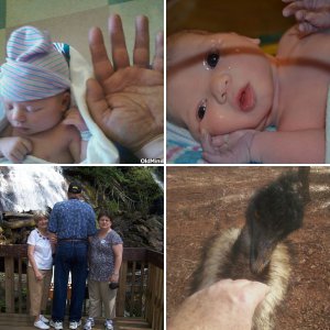 Family