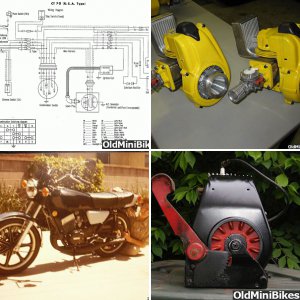 Briggs 8 horse