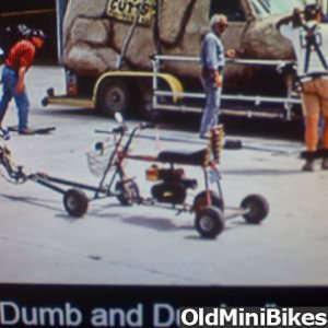 Dumb & Dumber bike